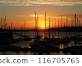 Wonderful sunset on the harbour 116705765