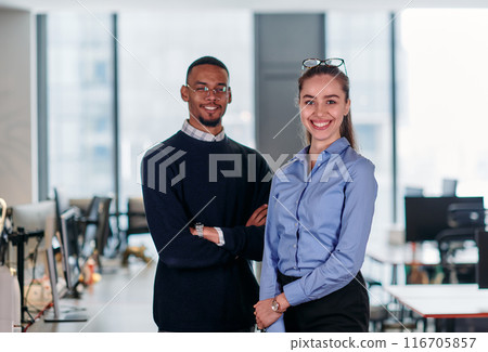 Dynamic Business Collaboration: Blonde Businesswoman and African American Colleague in Modern Office Setting. Dynamic Business Collaboration: Blonde Businesswoman and African American Colleague in Modern Office Setting. 116705857