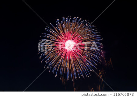 Kure Summer Festival: Fireworks Display on the Sea Close-up: Red, Yellow, Blue 116705878