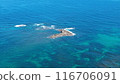 Cunning sea 116706091