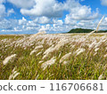 Kyoto Tango Blue sky Field Stock photo Kyoto Tango Blue sky Field Stock photo 116706681