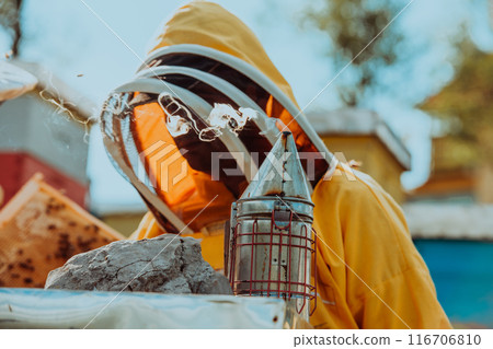 Beekeeper checking honey on the beehive frame in the field. Beekeeper on apiary. Beekeeper is working with bees and beehives on the apiary. Beekeeper checking honey on the beehive frame in the field. Beekeeper on apiary. Beekeeper is working with bees and beehives on the apiary. 116706810