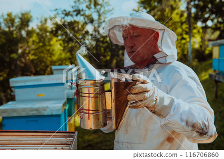 The beekeeper using smoke to calm the bees and begins to inspect the honey 116706860