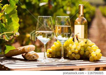 Glass of White wine grapes and bread on table in field Glass of White wine grapes and bread on table in field 116706885