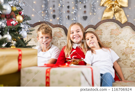 Happy brother with two sisters are sitting on sofa together with gift boxes next to the new year tree Happy brother with two sisters are sitting on sofa together with gift boxes next to the new year tree 116706924