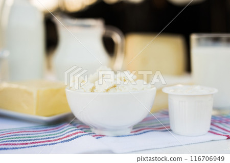 Milk, cottage cheese, cream, cheese on table against background of cows 116706949