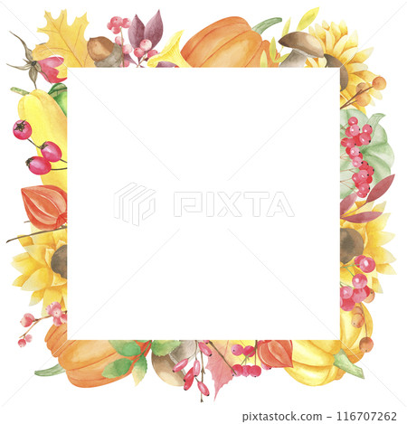 Watercolor autumn frame with pumpkins, sunflowers, red berries, acorn, branch, oak leaves. Square template for thanksgiving cards, greeting cards, scrapbooking. Decorative fall wreath 116707262