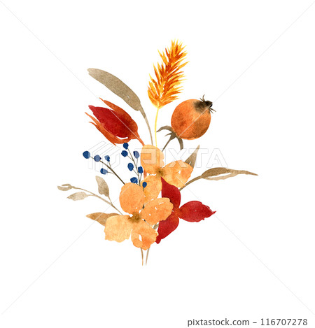 Watercolor autumn dried flowers and leaves arrangement isolated on white background. Hand drawn floral illustration. Botanical clipart for greeting cards, design of stationery, invitation, packaging Watercolor autumn dried flowers and leaves arrangement isolated on white background. Hand drawn floral illustration. Botanical clipart for greeting cards, design of stationery, invitation, packaging 116707278