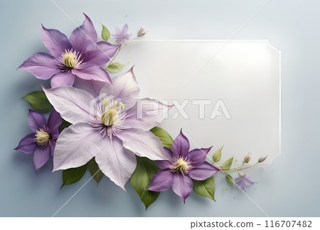 branch of climbing beautiful Clematis flowers, clean empty space for text branch of climbing beautiful Clematis flowers, clean empty space for text 116707482