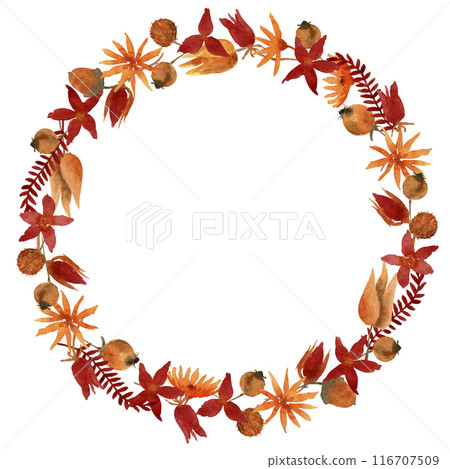 Watercolor hand drawn dried flowers wreath isolated on white background. Floral frame with autumn leaves and branches. Botanical illustration for greeting cards, invitations, design of stationery Watercolor hand drawn dried flowers wreath isolated on white background. Floral frame with autumn leaves and branches. Botanical illustration for greeting cards, invitations, design of stationery 116707509