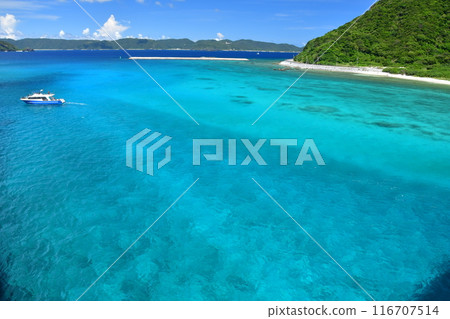 Aka Island, Kerama Islands, Okinawa 116707514