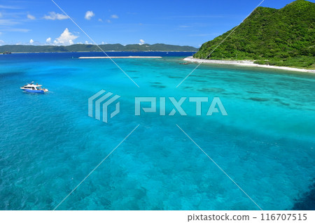 Aka Island, Kerama Islands, Okinawa 116707515