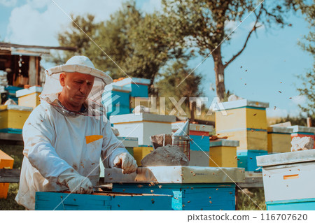 Beekeeper checking honey on the beehive frame in the field. Small business owner on apiary. Natural healthy food produceris working with bees and beehives on the apiary. 116707620