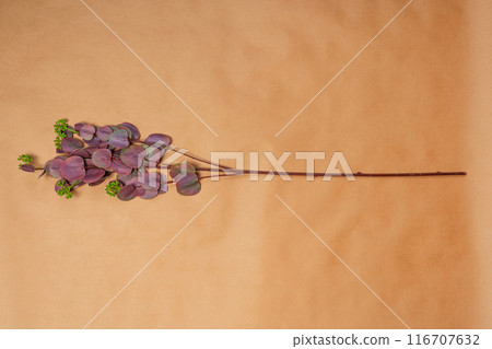artificial flower with red leaves on craft paper. plastic plant for vase. 116707632