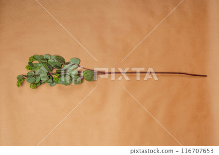 artificial flower with green leaves on craft paper artificial flower with green leaves on craft paper 116707653