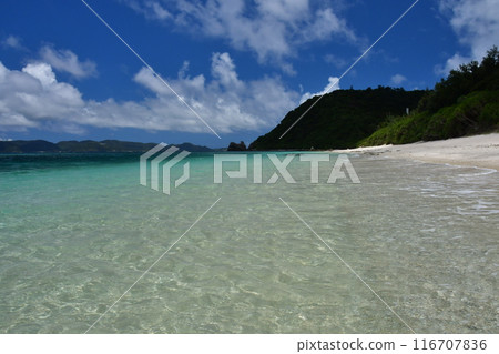 Aka Island, Kerama Islands, Okinawa 116707836