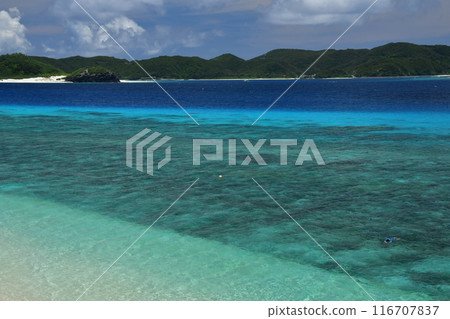 Aka Island, Kerama Islands, Okinawa Aka Island, Kerama Islands, Okinawa 116707837