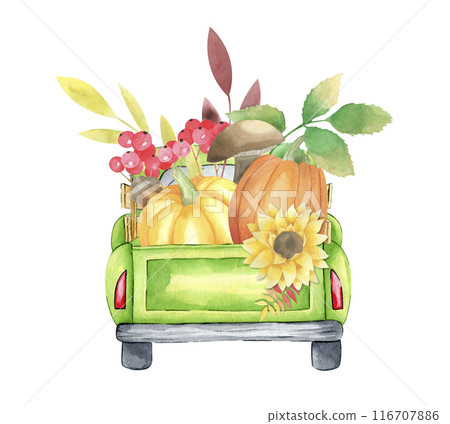 Watercolor old pickup truck with autumn leaves, pumpkins, sunflowers, berries, mushroom isolated on white background. Hand drawn fall car for thanksgiving day and harvest holiday. Greeting cards. Watercolor old pickup truck with autumn leaves, pumpkins, sunflowers, berries, mushroom isolated on white background. Hand drawn fall car for thanksgiving day and harvest holiday. Greeting cards. 116707886