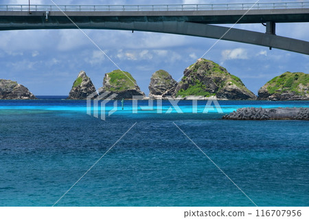 Aka Island, Kerama Islands, Okinawa 116707956