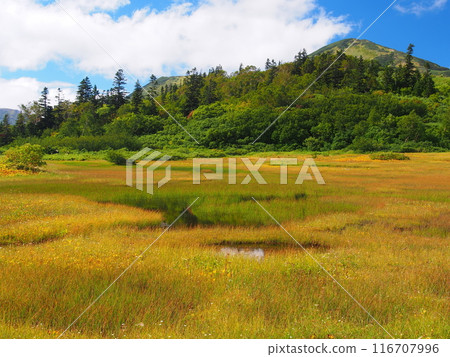 Lake Takaya and Mount Hiuchi in early autumn Lake Takaya and Mount Hiuchi in early autumn 116707996