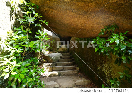 彌山山頂登山道 116708114