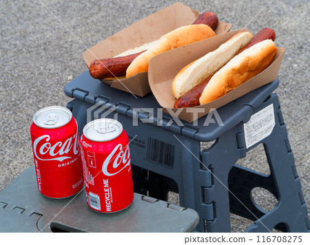 Delicious hot sandwich and Coca-Cola Delicious hot sandwich and Coca-Cola 116708275