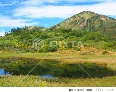 Mt. Hiuchi and Tengu Garden in early autumn 116708286