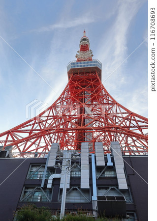 Tokyo Tower    116708693
