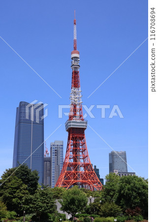 Tokyo Tower Tokyo Tower 116708694