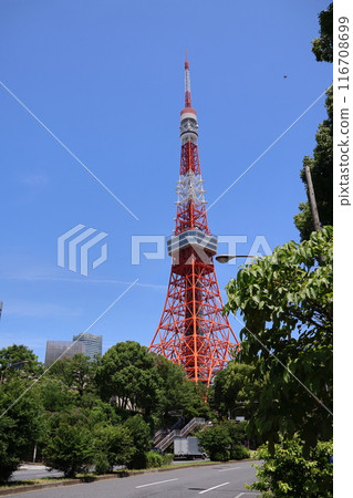 Tokyo Tower Tokyo Tower 116708699