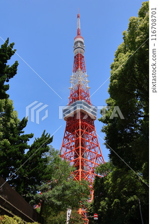 Tokyo Tower Tokyo Tower 116708701