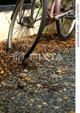 bicycle wheel with autumn leaves on the ground. dry leaves on the ground, top view, background texture. 116708705
