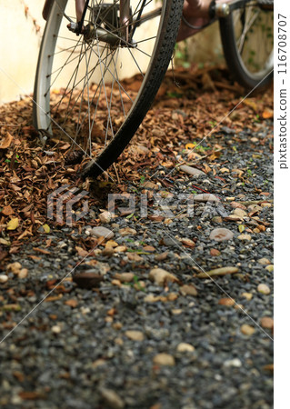 bicycle wheel with autumn leaves on the ground. dry leaves on the ground, top view, background texture. 116708707