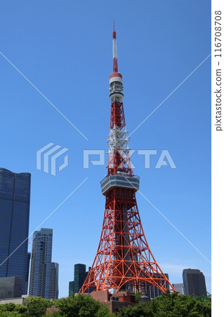 Tokyo Tower    116708708