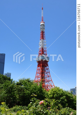 東京鐵塔 116708711
