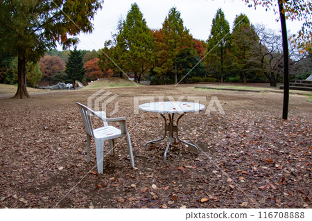 有落葉的一個公園 有落葉的一個公園 116708888