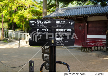 Directions sign in Miyajima 116708909
