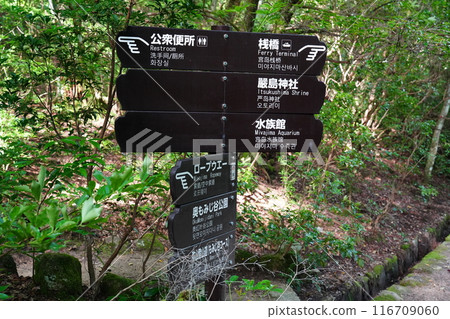 宮島的資訊牌 116709060
