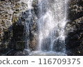 [Kagawa Prefecture] Fudo Falls 116709375