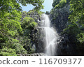 [Kagawa Prefecture] Fudo Falls 116709377