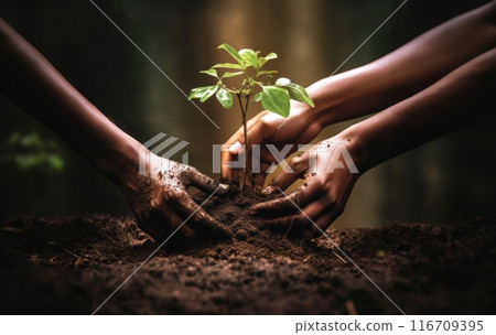 hands from a close-knit community come together to plant a young sapling, symbolizing collective growth, environmental stewardship, and the nurturing bond between people and nature.Generated image 116709395