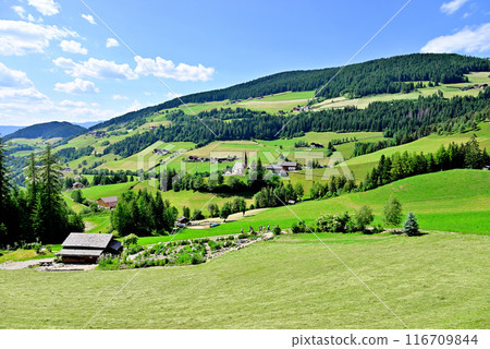 Santa Maddalena Church blends into the pasture landscape of the Funes Valley Santa Maddalena Church blends into the pasture landscape of the Funes Valley 116709844