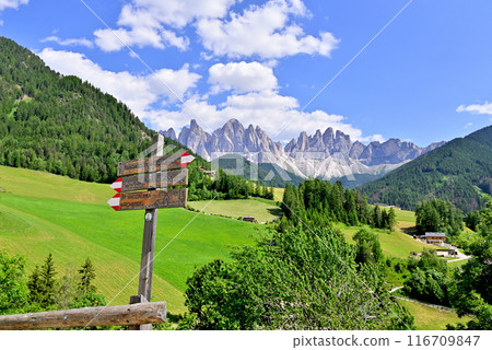 Santa Maddalena Village and the Geisler Mountains in the Funes Valley Santa Maddalena Village and the Geisler Mountains in the Funes Valley 116709847