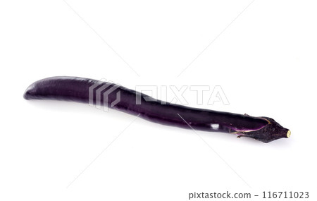 long Eggplant in studio 116711023