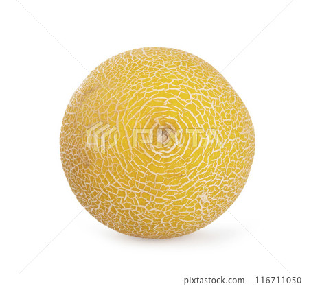 melon in studio 116711050