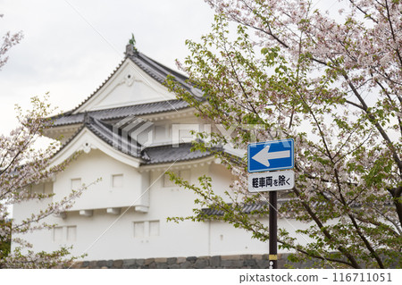 靜岡縣駿府城 靜岡縣駿府城 116711051