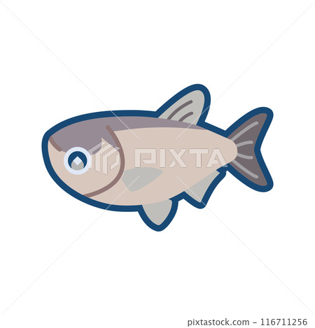 Cute illustration of a silver carp 116711256