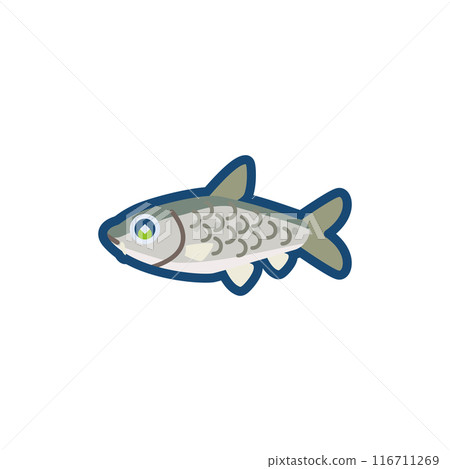 Cute illustration of a black carp 116711269