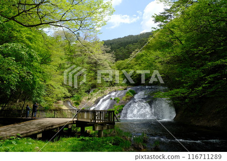 Waterfall of Kamabuchi, Hanamaki City 116711289