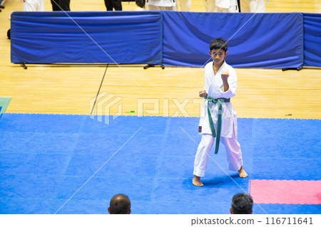 男孩做空手道 116711641